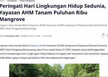 Peringati Hari Lingkungan Hidup Sedunia, Yayasan AHM Tanam Puluhan Ribu Mangrove