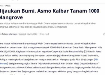 Hijaukan Bumi, Asmo Kalbar Tanam 1000 Mangrove